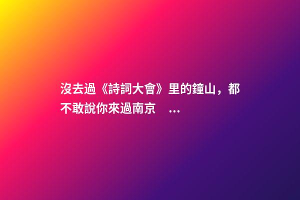 沒去過《詩詞大會》里的鐘山，都不敢說你來過南京！